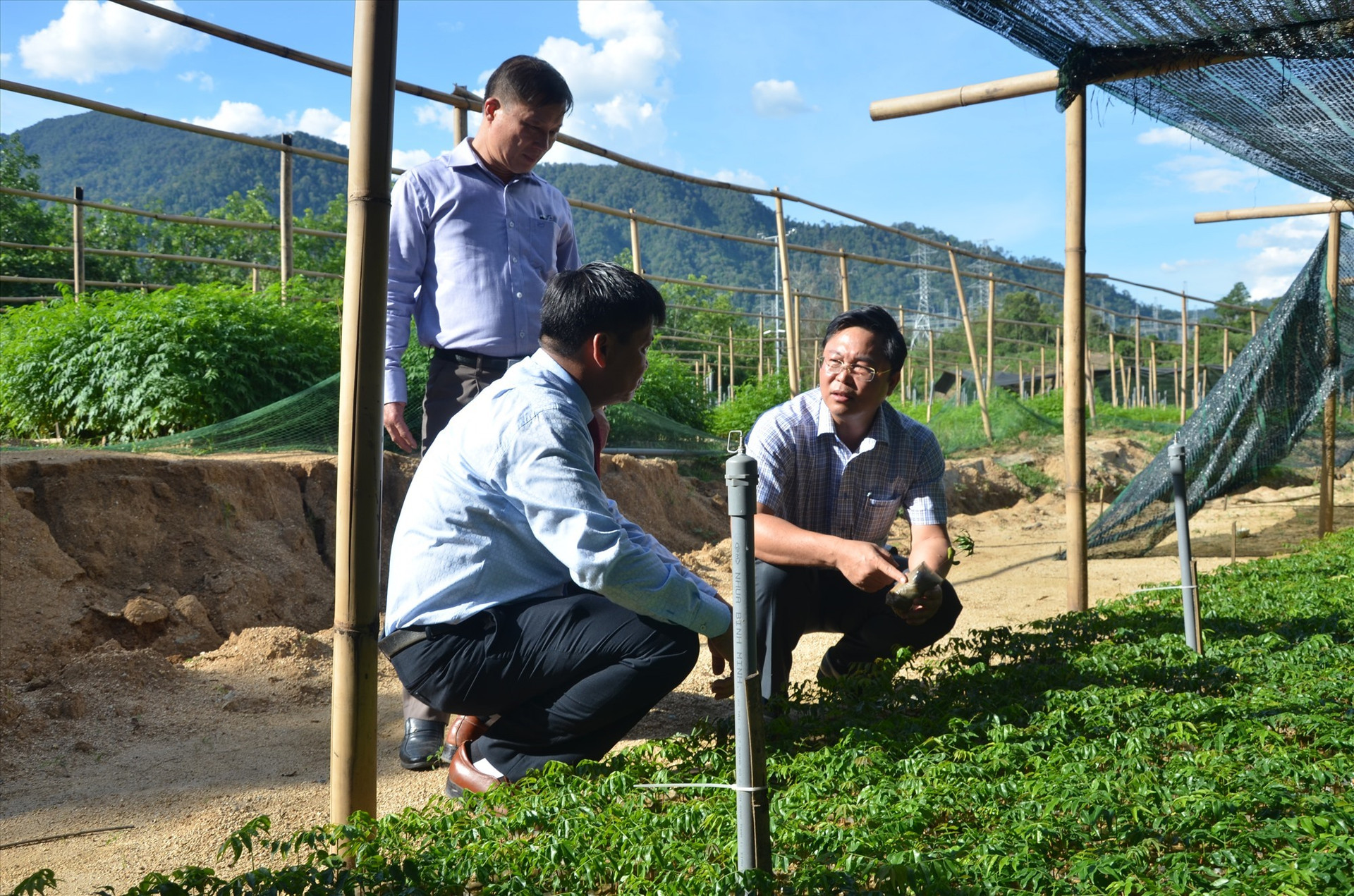 Chủ tịch UBND tỉnh Lê Trí Thanh kiểm tra vườn ươm tại Ban Quản lý Khu bảo tồn thiên nhiên sông Thanh