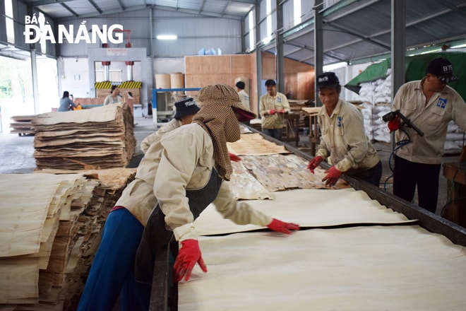 Dự báo trong vài tháng tới, hoạt động sản xuất công nghiệp sẽ có nhiều tiến triển mạnh mẽ hơn khi doanh nghiệp nhận được nhiều đơn hàng. Trong ảnh: Công nhân đang làm việc tại Công ty TNHH MTV Sản xuất và thương mại Dana Flywood. Ảnh: KHÁNH HÒA