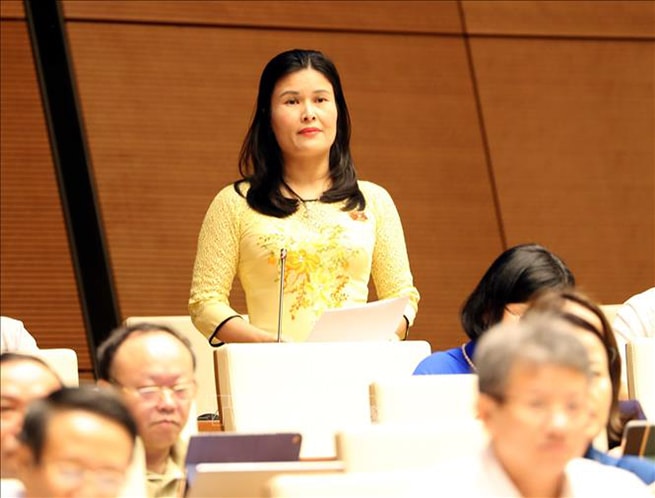  Đại biểu Quốc hội tỉnh Hà Tĩnh Bùi Quỳnh Thơ phát biểu ý kiến. Ảnh: Trọng Đức/TTXVN