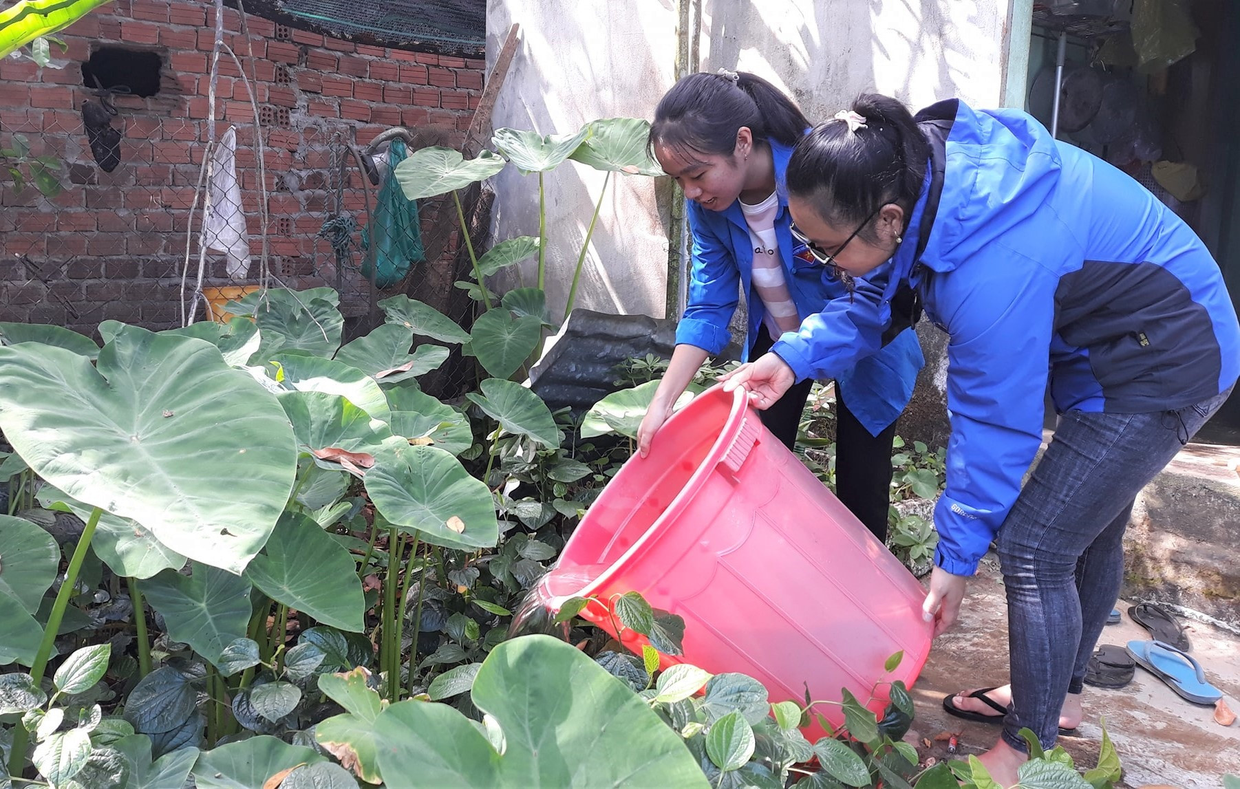 Thanh niên Điện Bàn xử lý các dụng cụ chứa nước tránh muỗi đẻ trứng. Ảnh: THÀNH NHÂN