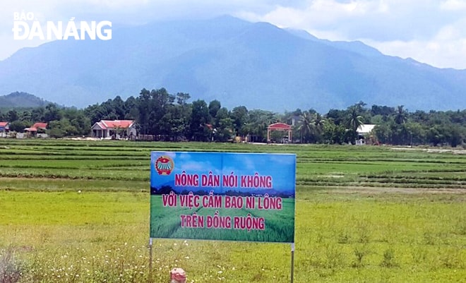 Bảng hiệu tuyên truyền được đặt tại cánh đồng ở xã Hòa Phong nhằm nâng cao nhận thức của người nông dân. Ảnh: VĂN HOÀNG