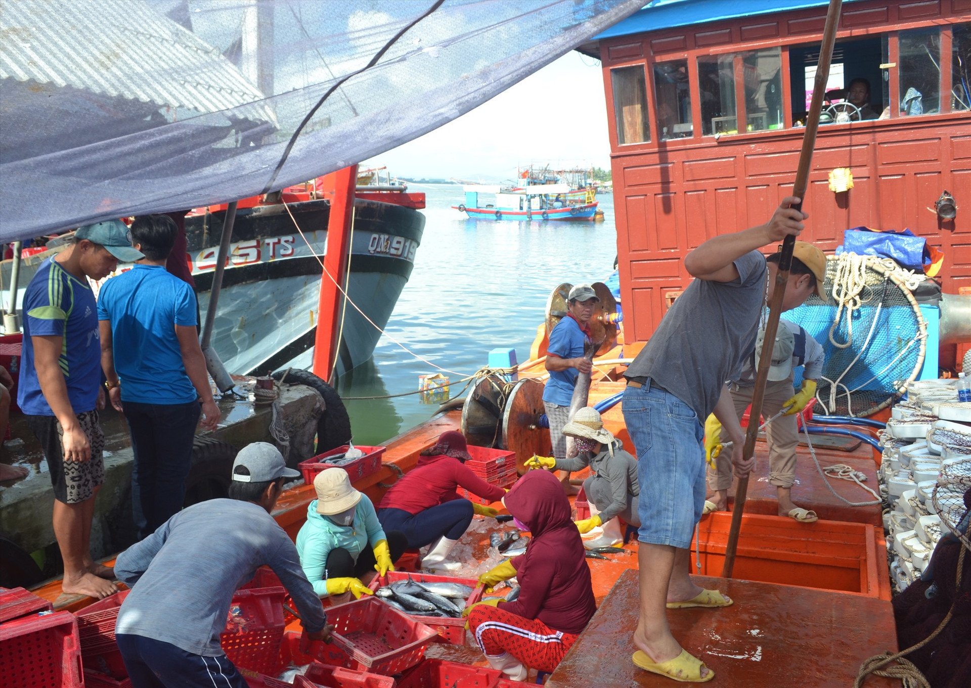 Chứng nhận an toàn thực phẩm cho tàu cá có chiều dài từ 15m trở lên trên địa bàn tỉnh còn gặp nhiều khó khăn. Ảnh: V.N