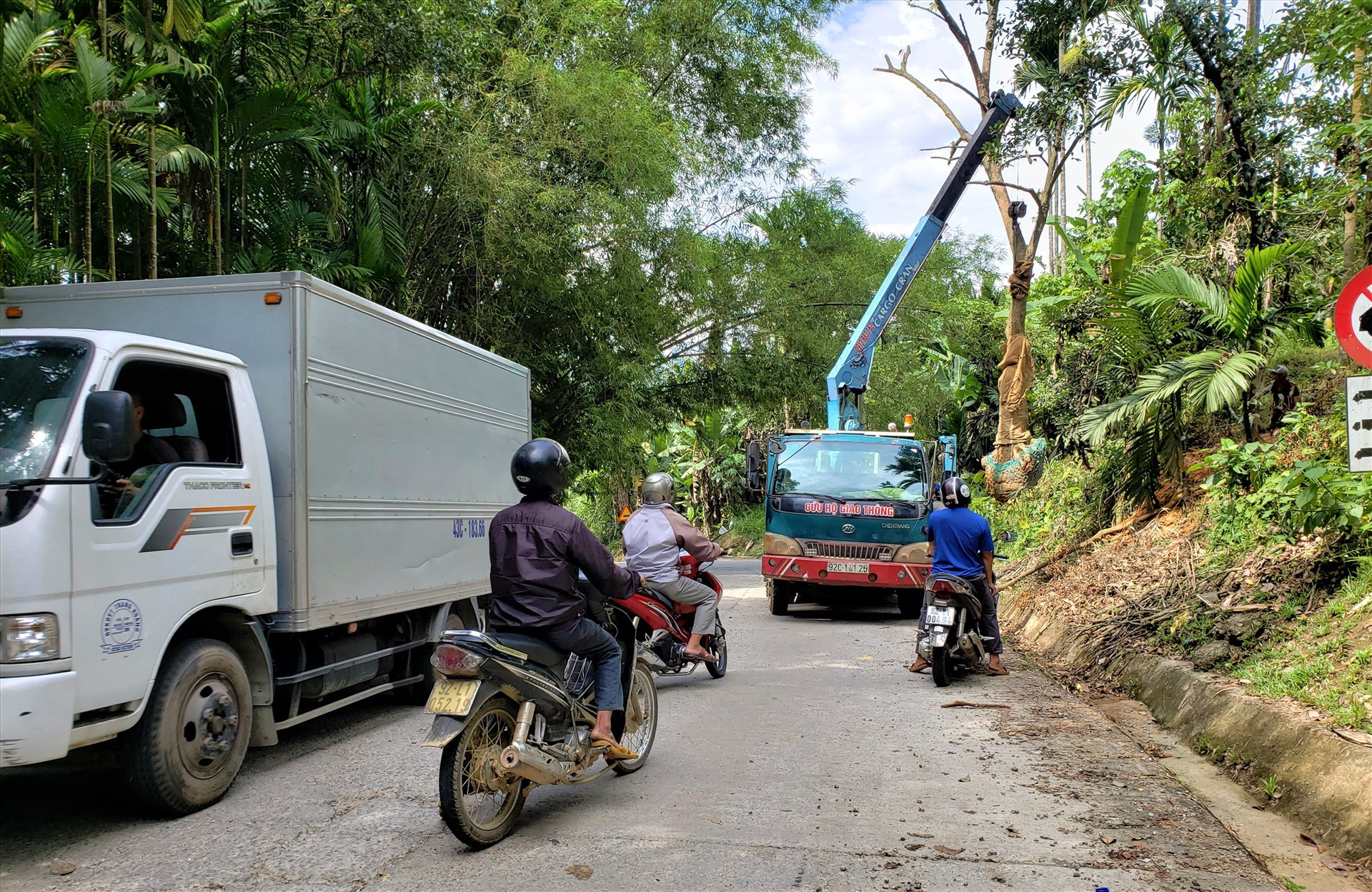 Xe tải cẩu cây xanh gây ách tắc giao thông trên tuyến quốc lộ 40B đoạn qua xã Trà Tân, huyện Bắc Trà My. Ảnh: HOÀI AN