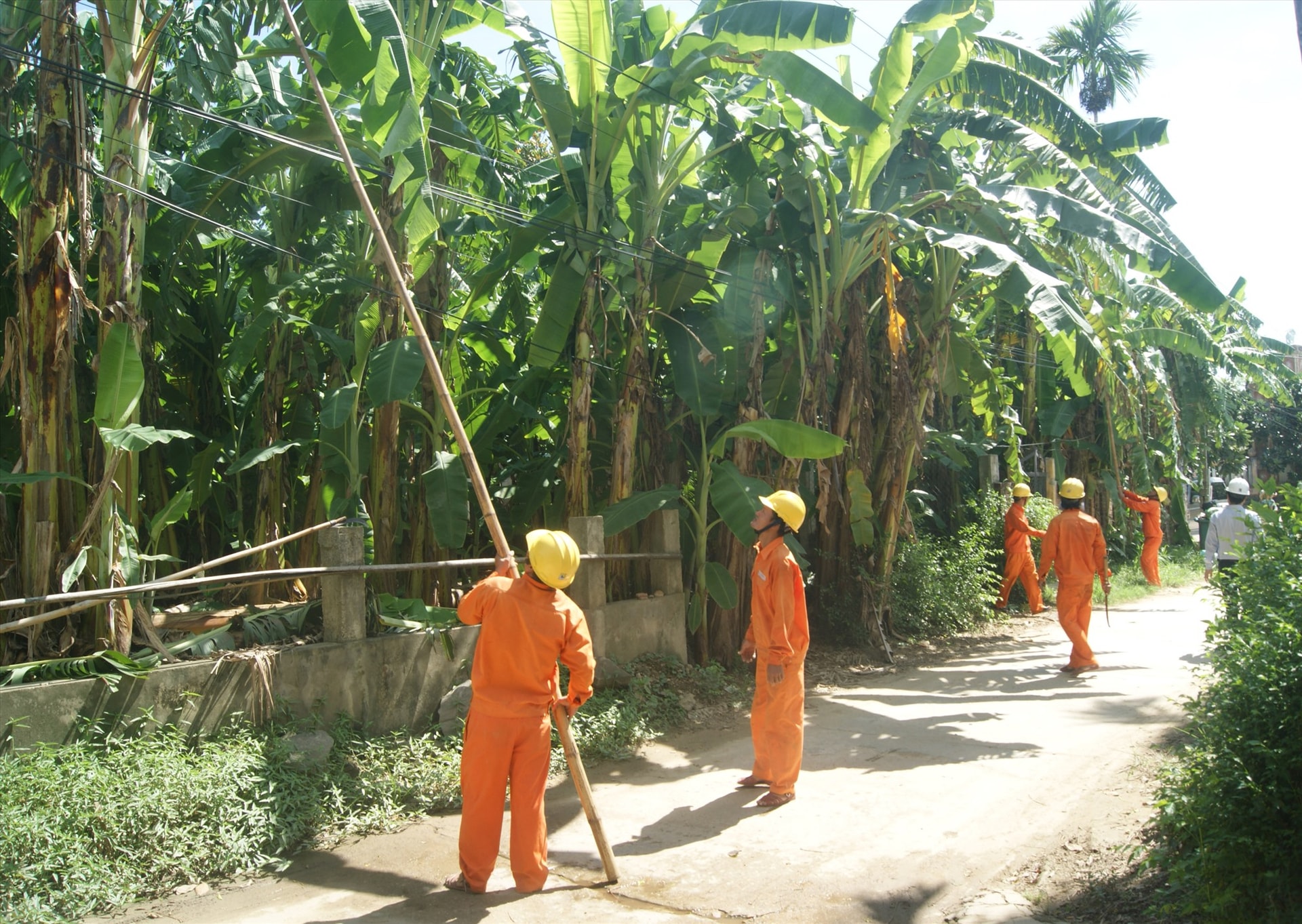 Phát quang hành lang tuyến thường xuyên đảm bảo an toàn, hạn chế thấp nhất tai nạn về điện gây ra. Ảnh: T.L