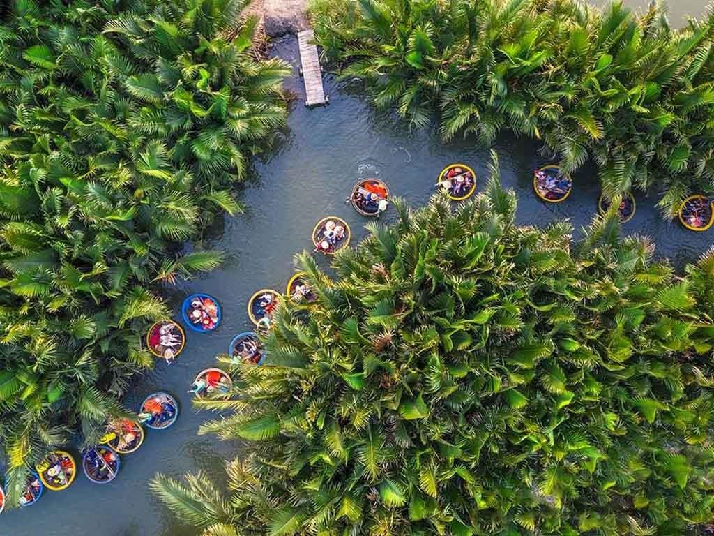 Bay Mau nipa forest from the height