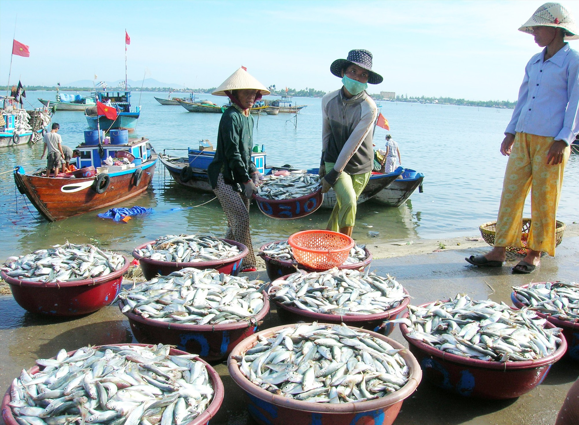 Mô hình chế biến thủy sản đã giúp nhiều hộ dân vùng ven biển cải thiện kinh tế. Ảnh: H.QUANG