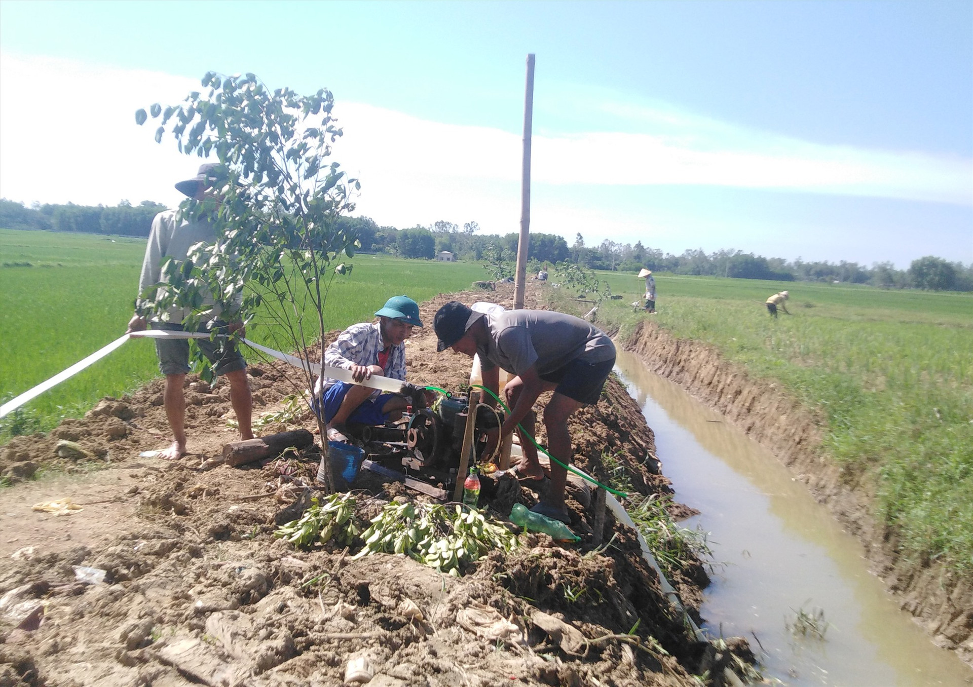 Nắng nóng liên tục, nhiều nông dân chủ động bơm nước để chống hạn cho lúa. Ảnh: T.T