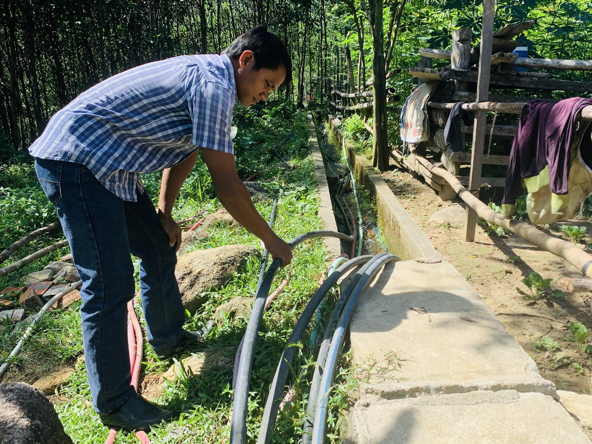 Những năm qua, xã Trà Kót đã đầu tư hơn 2.000m đường ống dẫn nước từ khe, suối đầu nguồn về phục vụ người dân. Ảnh: PHAN VINH