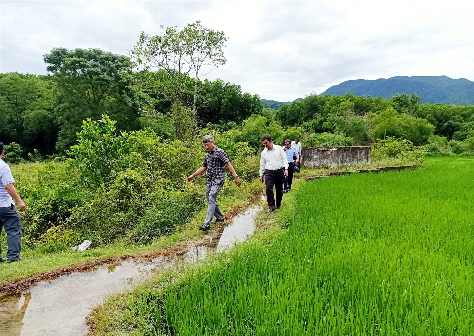 Phó Chủ tịch UBND tỉnh Hồ Quang Bửu khảo sát khu suối nước nóng Tây Viên, xã Sơn Viên, Nông Sơn. Ảnh: HOÀNG LIÊN