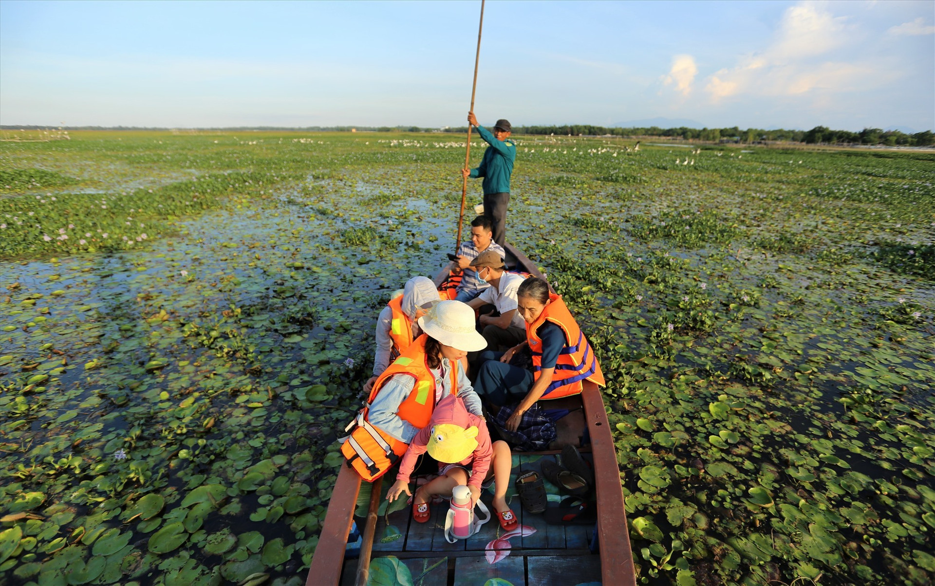 Cuối giờ chiều du khách tìm về sông Đầm (xã Tam Thăng, TP.Tam Kỳ) để xem đàn cò ốc