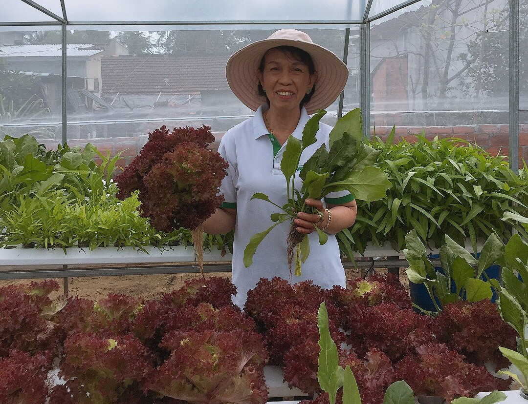 Mô hình trồng rau thủy canh của bà Nguyễn Thị Hương. Ảnh: T.M