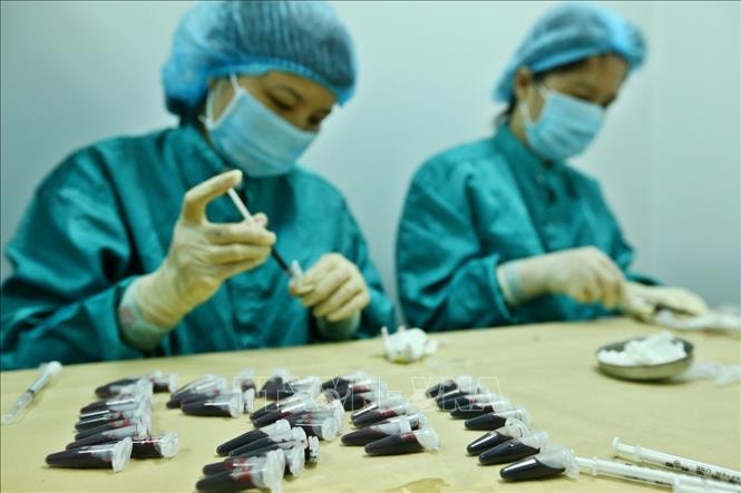 Dự án nghiên cứu phát triển vắc xin COVID-19 của Công ty TNHH MTV vắc xin và sinh phẩm số 1 (Vabiotech) đang có triển vọng tích cực với kết quả đáp ứng miễn dịch khá cao của vắc xin dự tuyển. Ảnh: Minh Quyết/TTXVN