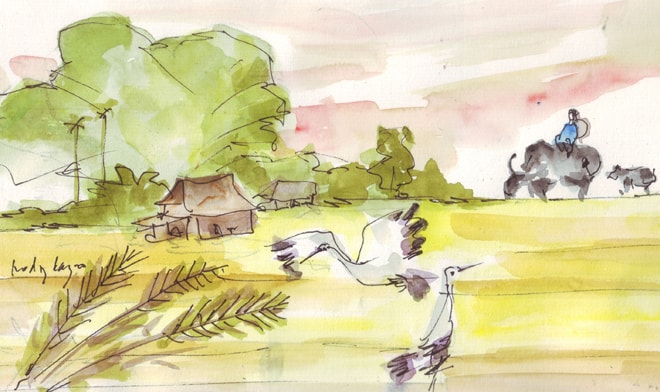 Minh họa: HOÀNG ĐẶNG