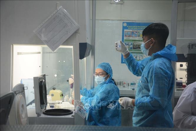 Các nhân viên xét nghiệm của Trung tâm Kiểm soát bệnh tật thành phố Đà Nẵng tích cực xét nghiệm các mẫu tiếp xúc gần với bệnh nhân mắc COVID-19. Ảnh: Văn Dũng/TTXVN