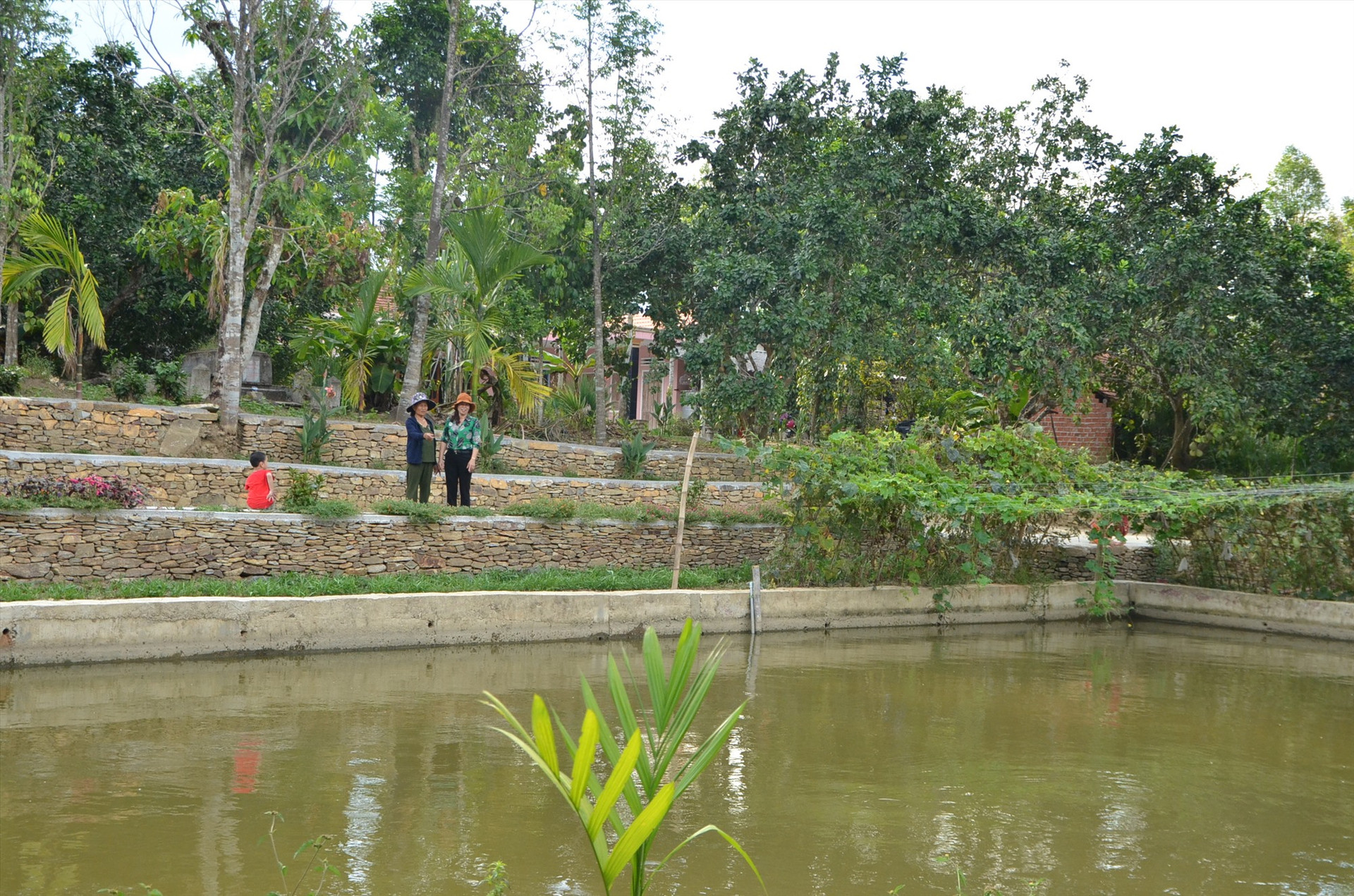 Xây dựng mô hình “Nhà sạch, vườn đẹp” tại làng cổ Lộc Yên, xã Tiên Cảnh nhằm tạo bước đột phá trong phát triển du lịch sinh thái. Ảnh: P.H