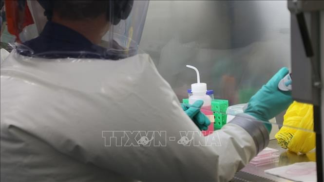 Các nhà khoa học kiểm tra vaccine phòng COVID-19 tại phòng thí nghiệm ở Geelong, Australia, ngày 2/4/2020. Ảnh: THX/TTXVN
