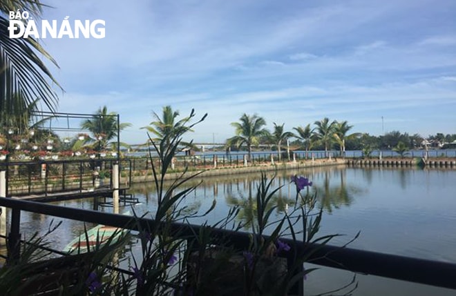 Chảy dọc cùng sông là những rặng dừa nước. Ảnh: LÊ TRÂM