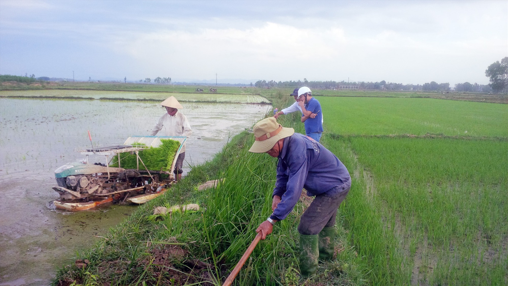 Nhanh chóng hiện đại hóa nền sản xuất nông nghiệp là một trong những mục tiêu của Quảng Nam trong thời gian tới. Ảnh: H.Q