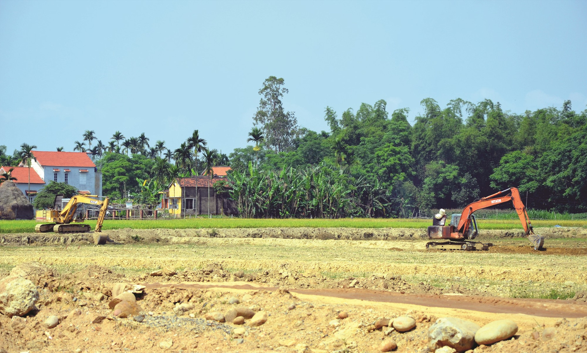Các dự án thu hồi đất lúa đã được HĐND các cấp xem xét cẩn thận trước khi quyết định cho đầu tư. Ảnh: H.P