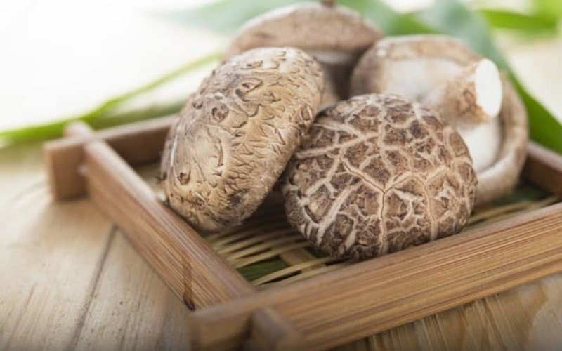 Ăn nấm thảo dược: Một số sản phẩm nấm như nấm đông cô, nấm maitake... giúp tăng khả năng miễn dịch, giúp ngăn ngừa ung thu vú./.