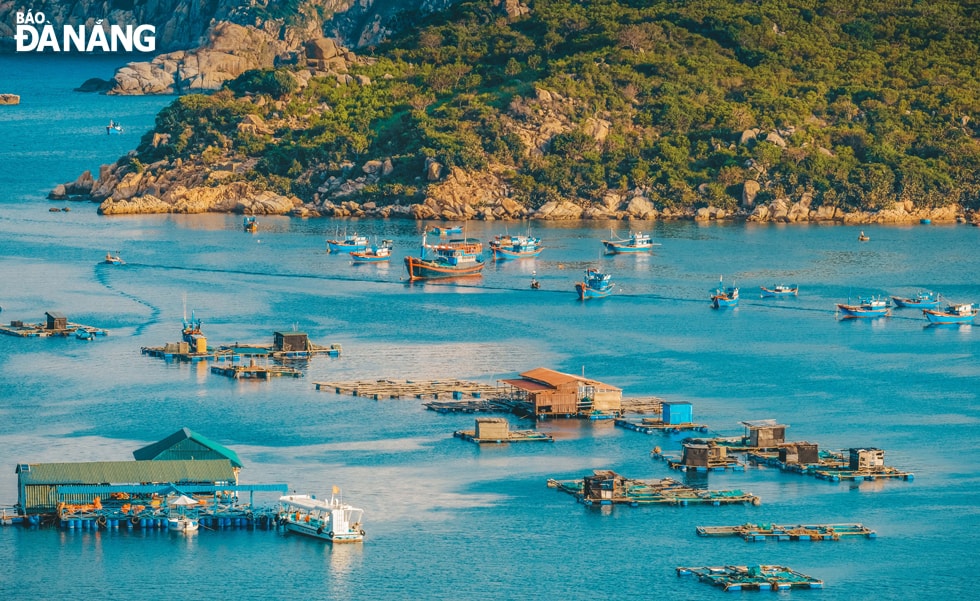 Vịnh Vĩnh Hy xanh ngắt, lặng gió che chở cho tàu thuyền neo đậu.