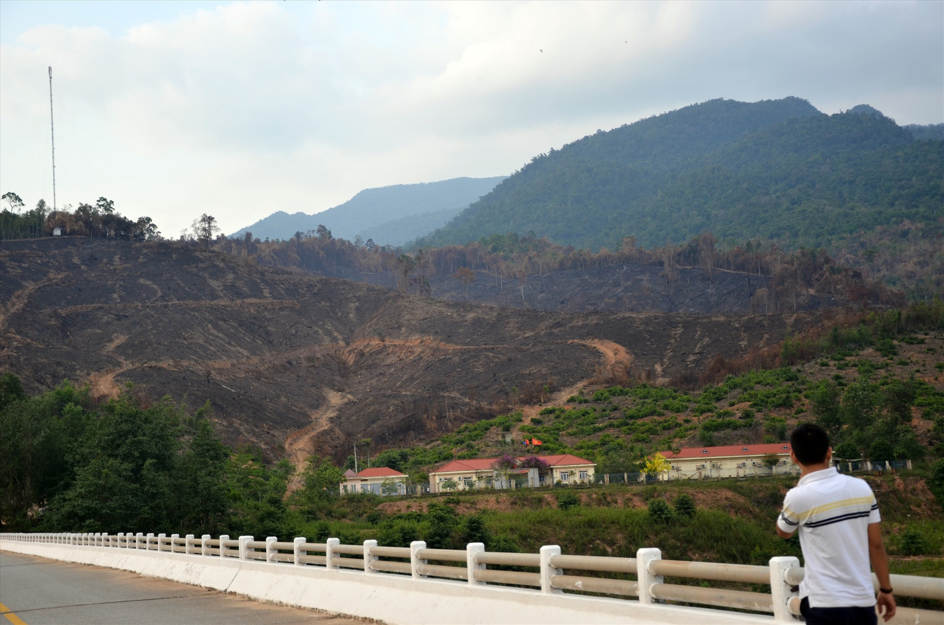 Vụ cháy rừng ở xã Mà Cooih (Đông Giang) vừa qua gây thiệt hại hơn 30ha. Ảnh: H.P