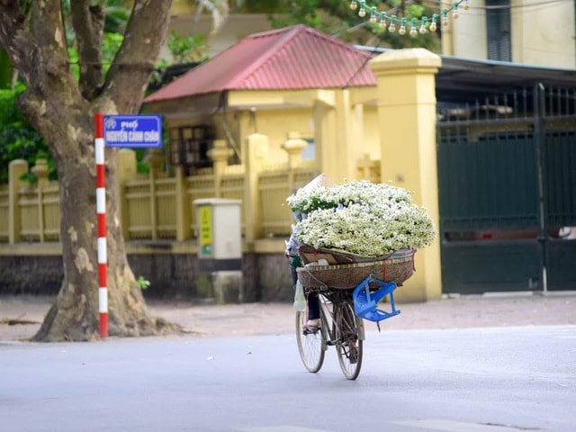 Những gánh hàng rong chở bó cúc họa mi len lỏi khắp phố phường