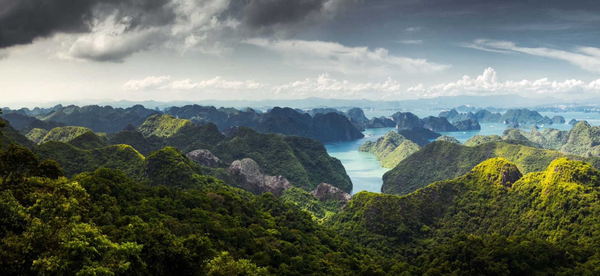 The national park occupies half of the area of Cat Ba. It is considered as a heaven of walking, jogging, climbing and kayaking.