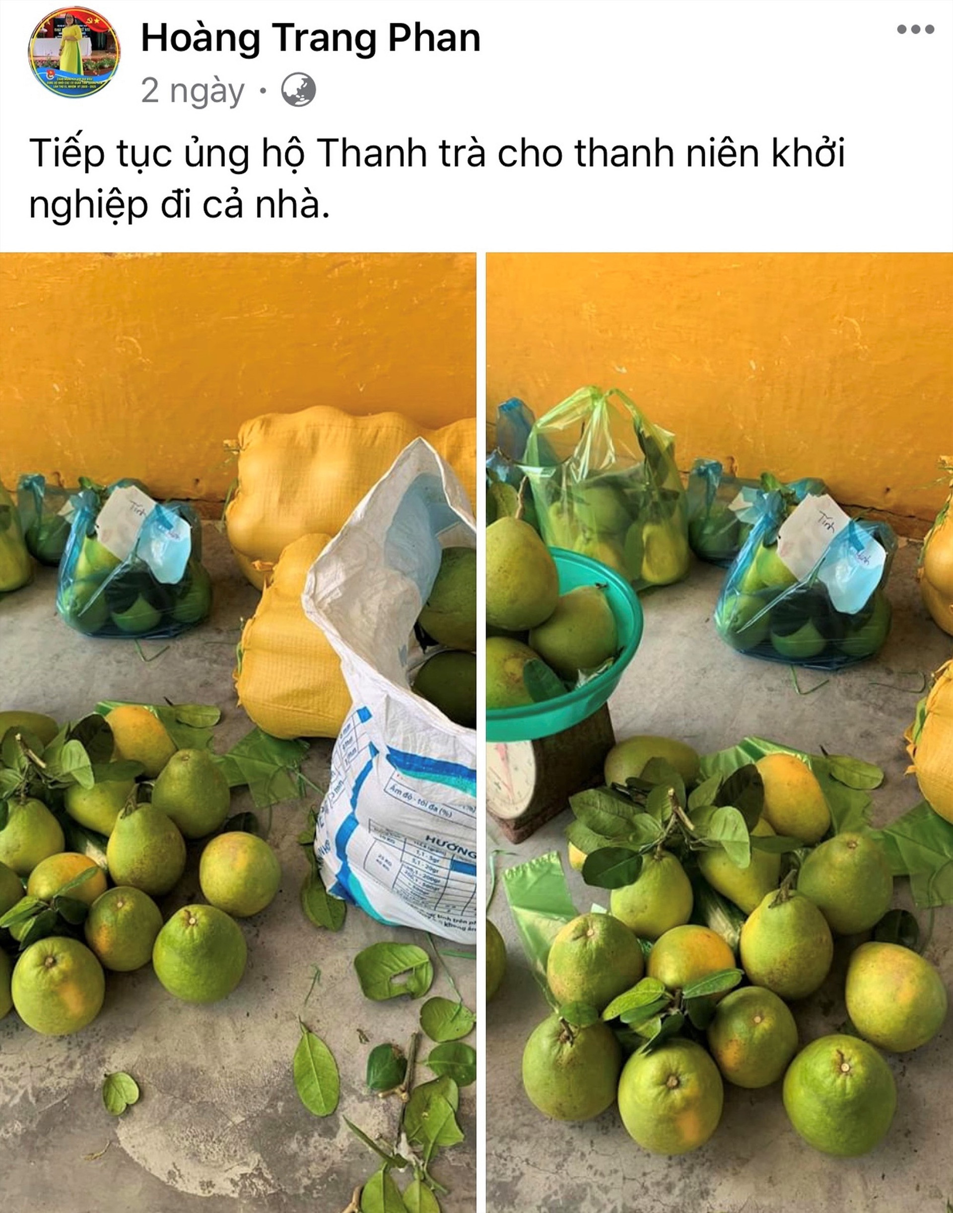 Chị Phan Thị Hoàng Trang, chuyên viên Ban Thanh niên nông thôn, công nhân và đô thị Tỉnh đoàn đăng bán thanh trà giúp anh Nguyễn Ngọc Huy trên trang cá nhân facebook. Ảnh: VINH ANH