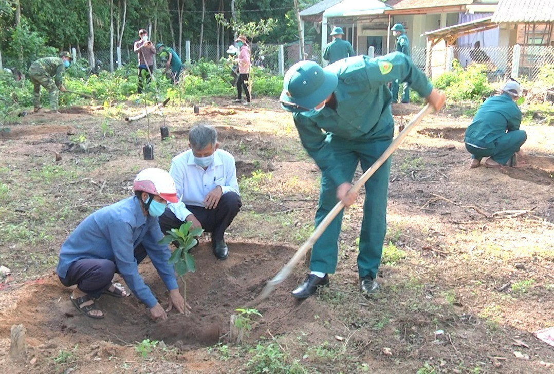 Ban Dân vận huyện ủy Quế Sơn giúp hộ ông Lê Quang Hạnh ở xã Quế Minh trồng cây ăn quả. Ảnh DT