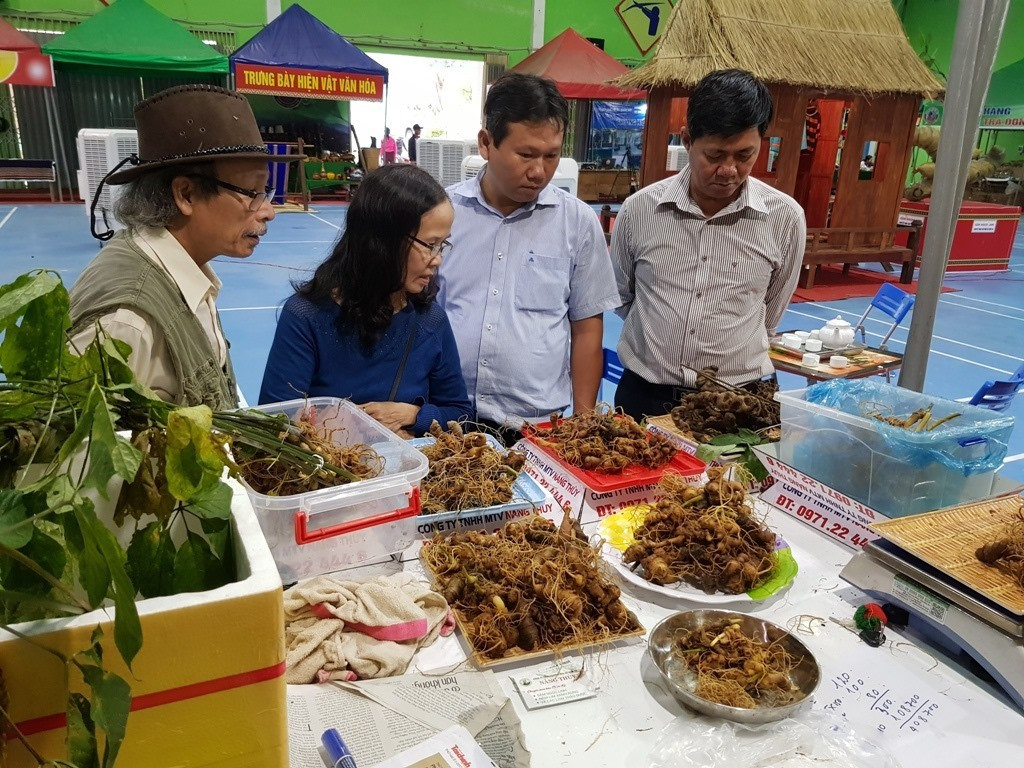 Phiên chợ sâm Ngọc Linh tổ chức hàng tháng. Ảnh: NAM TRÀ MY