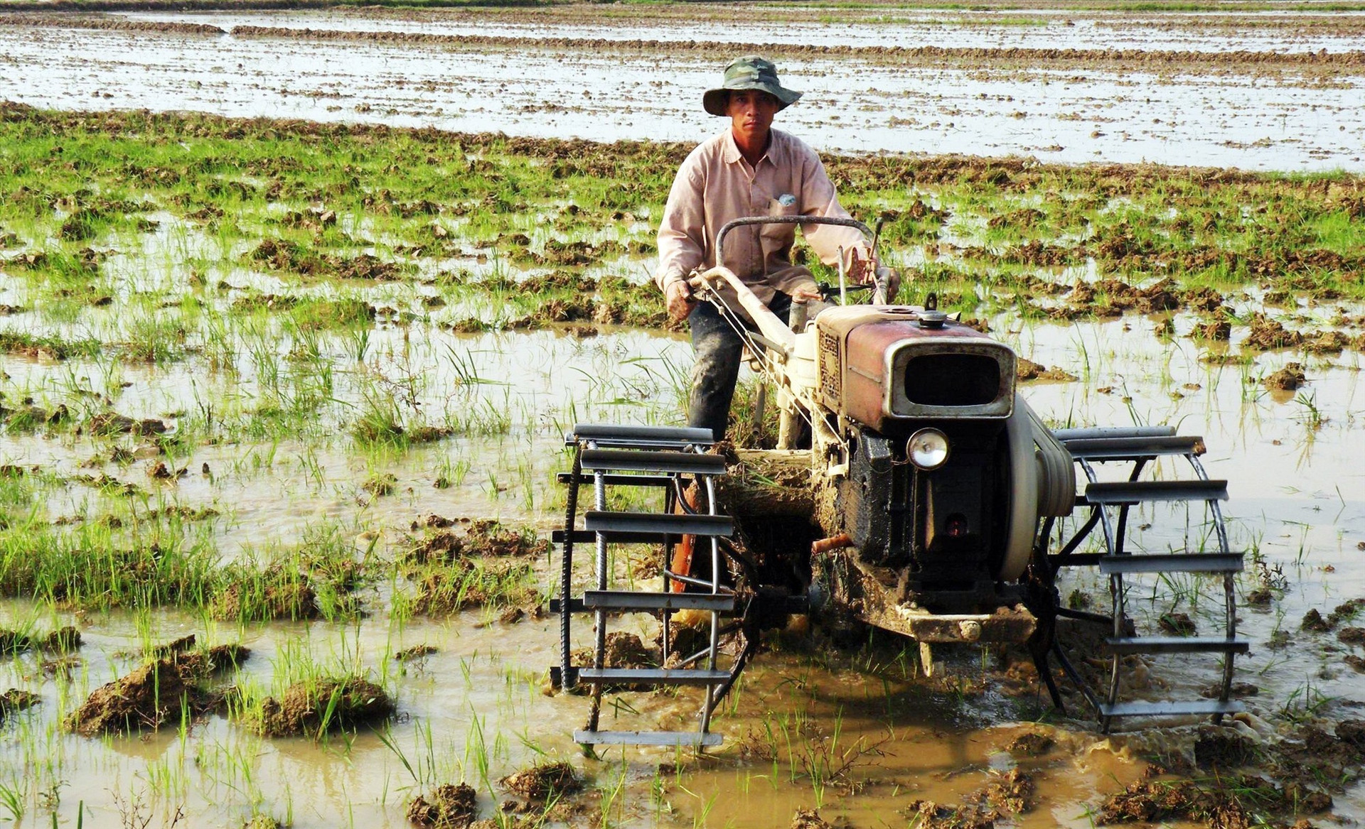 Cơ giới hóa sản xuất nông nghiệp hàng hóa ở huyện Thăng Bình đem lại thu nhập khá cho nông dân. Ảnh: VIỆT QUANG