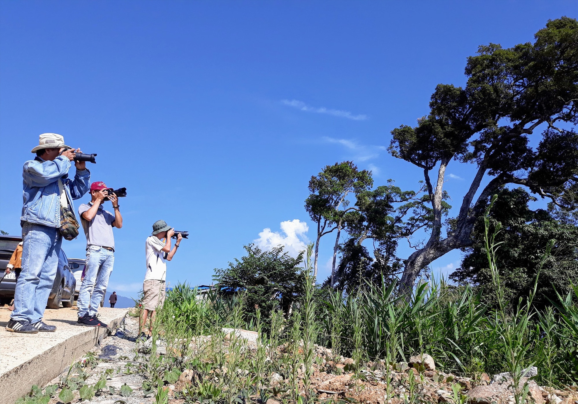 Các hội viên nhiếp ảnh tác nghiệp trong một đợt trại sáng tác chuyên đề ở huyện Nam Trà My. Ảnh: B.A