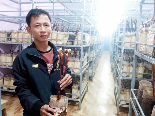 Nguyen Huu Nghia at his mushroom farm