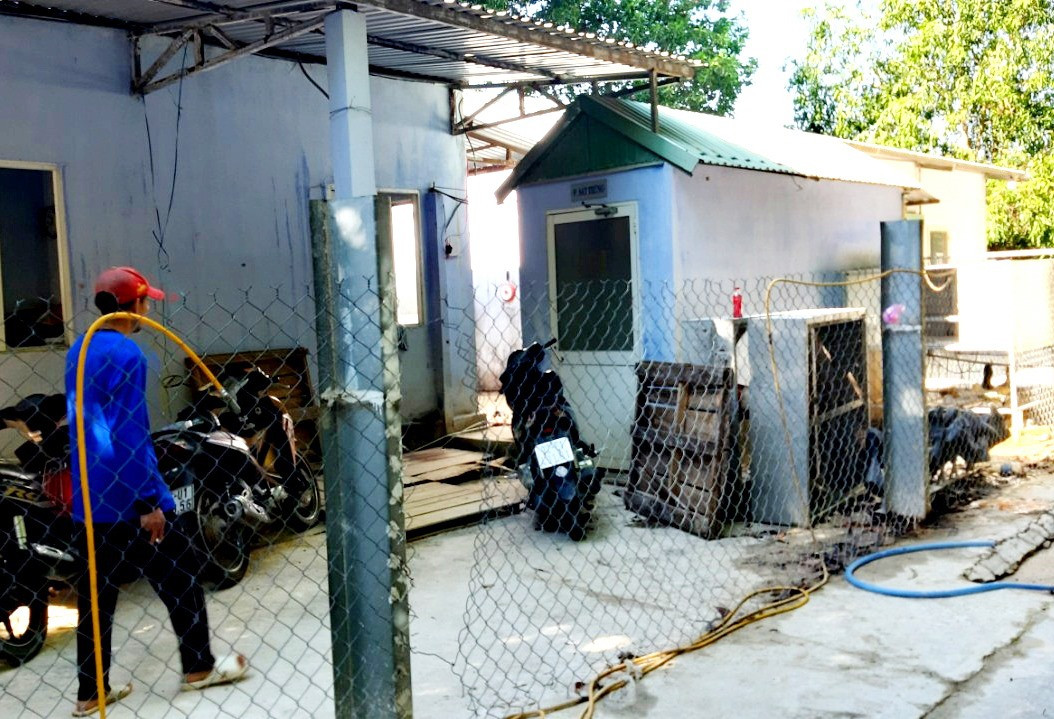 Trang trại nuôi heo gây ô nhiễm môi trường ở thôn Lý Trường (xã Bình Phú, Thăng Bình) cửa đóng then cài, không cho người bên ngoài đi vào. Ảnh: VIỆT NGUYỄN