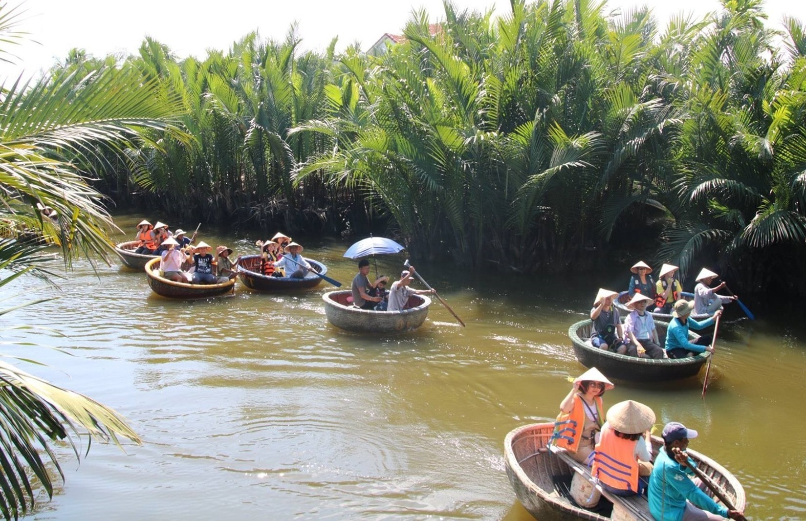 Earlier, Bay Mau nipa palm forest attracts from 3,000 to 4,000 visitors a day.