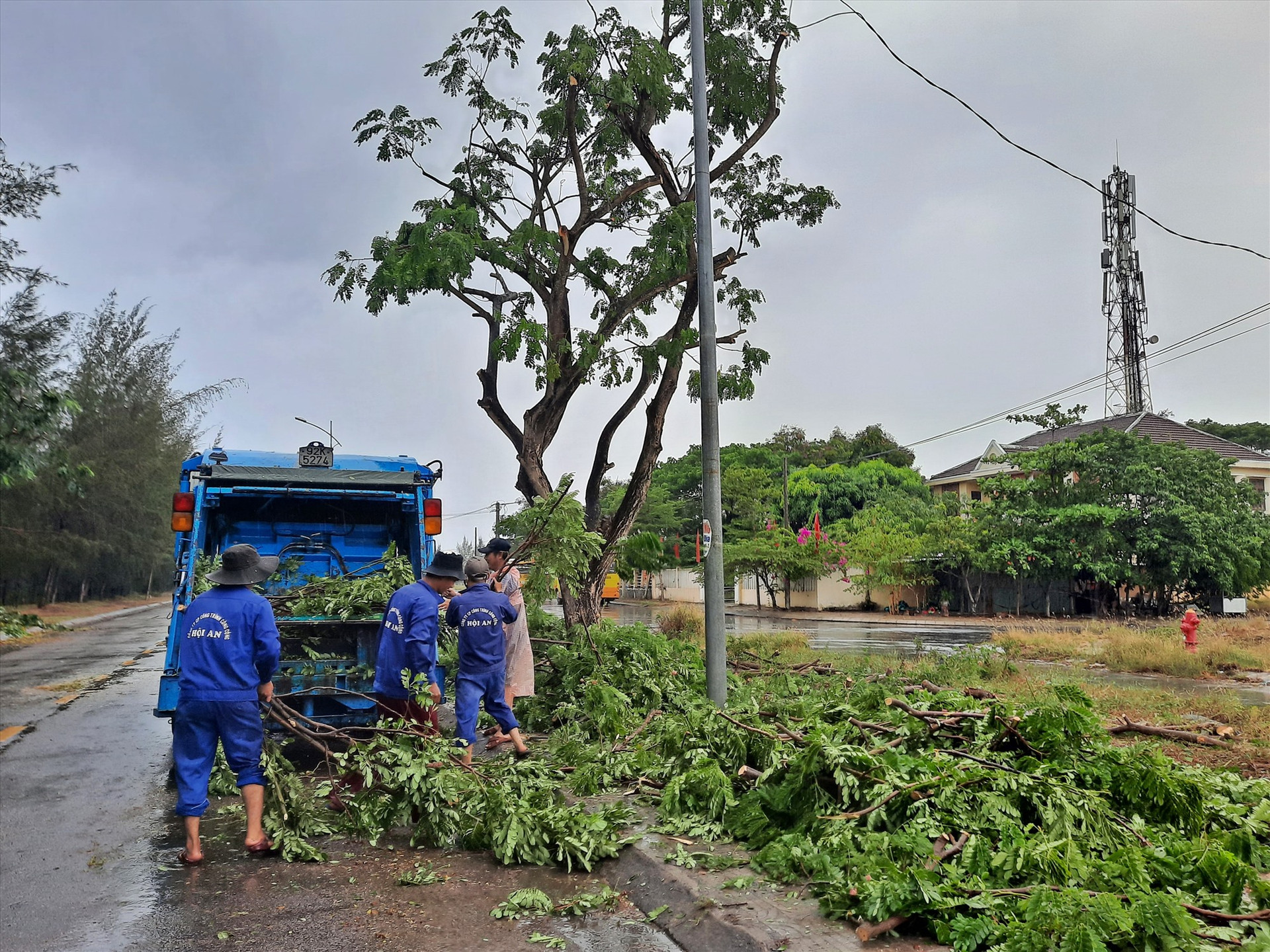 TP.Hội An thực hiện cắt tỉa cây xanh để hạn chế rủi ro do bão số 5 gây ra. Ảnh: THẮNG QUÂN