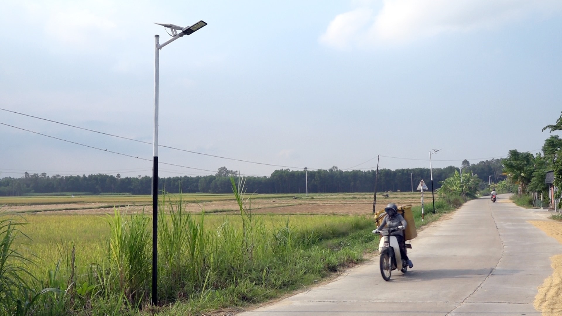 Solar lamps in Binh Quy commune