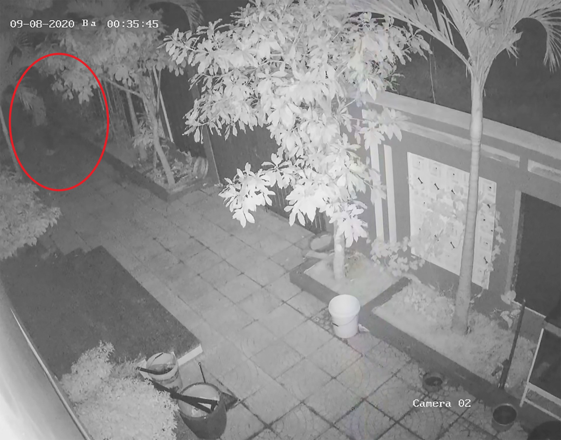 Một đối tượng đột nhập vào sân nhà anh Hoàng Thanh Trông lúc 0h35'. Phát hiện camera an ninh, đối tượng lẫn tránh, tìm cách lẻn vào nhà trộm cắp tài sản. Ảnh: NVCC