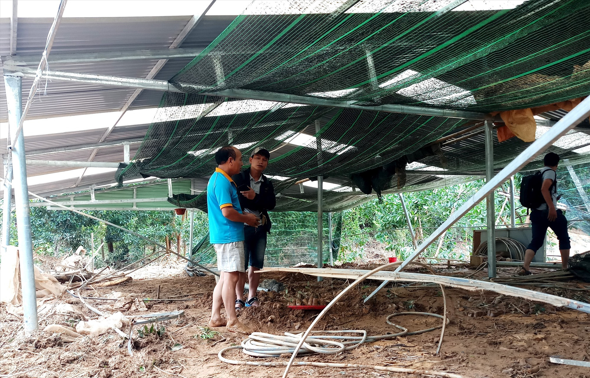 Trang trại chuyên ươm cây giống ở xã A Tiêng bị lũ tràn, gây thiệt hại gần 1 tỷ đồng. Ảnh: A.N