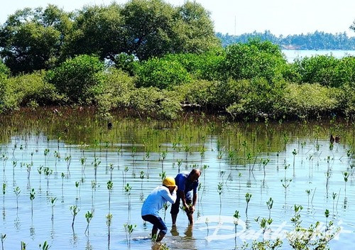 Quang Nam action to adapt to climate change. Photo: en.qdnd.vn