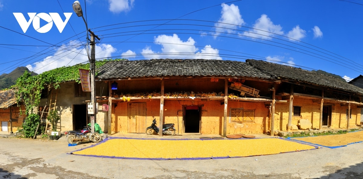 Đừng ngại ngần gì mà không 
