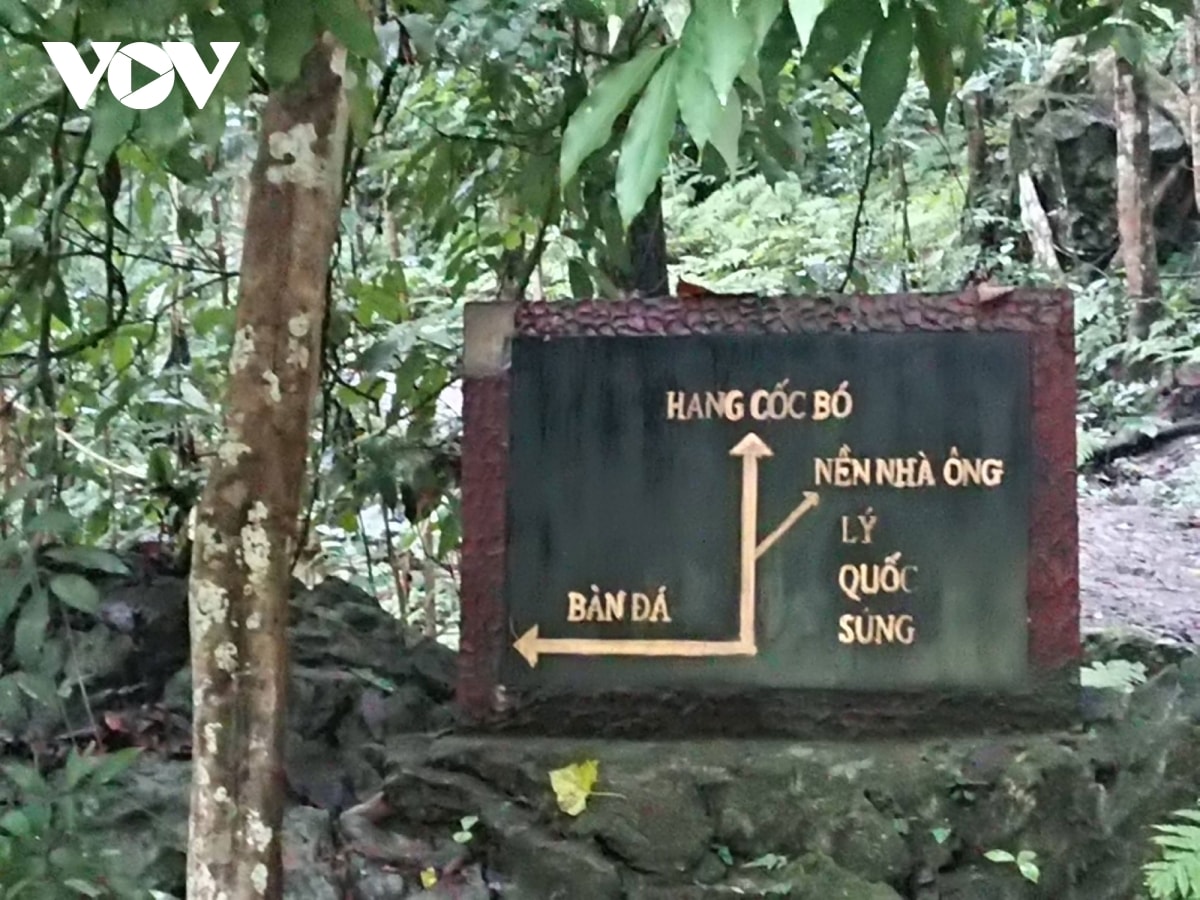 Khu di tích bao gồm: nhà tưởng niệm Bác Hồ, hang Cốc Pó (tên địa phương có nghĩa là “đầu nguồn”), hang Lũng Lạn, hang Ngườm Vài, suối Lê nin, bàn đá nơi Bác Hồ làm việc, nền nhà ông Lý Quốc Súng, nền nhà ông La Thành…