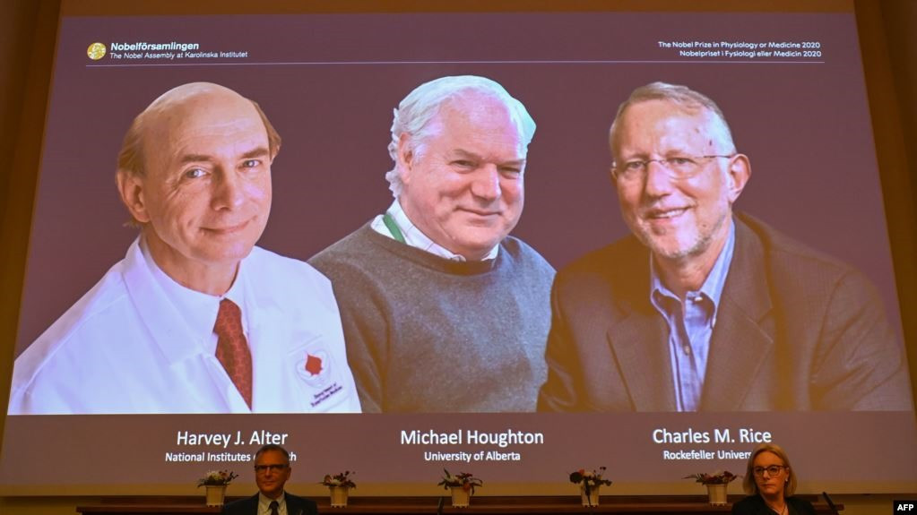 Những chủ nhân giải Nobel Y học 2020. Ảnh: AFP