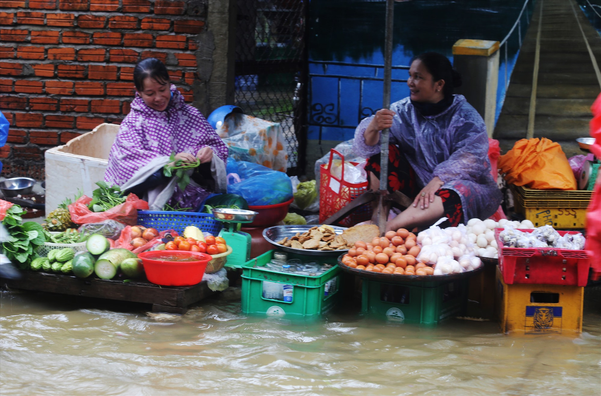 Ông Huỳnh Ngọc Hùng - Chủ tịch UBND xã Cẩm Kim cho biết có 150/1054 hộ trên địa bàn xã đang bị ngập nước. Trong đó, hơn 20 hộ dân thực hiện di dời vì nước ngập sâu.