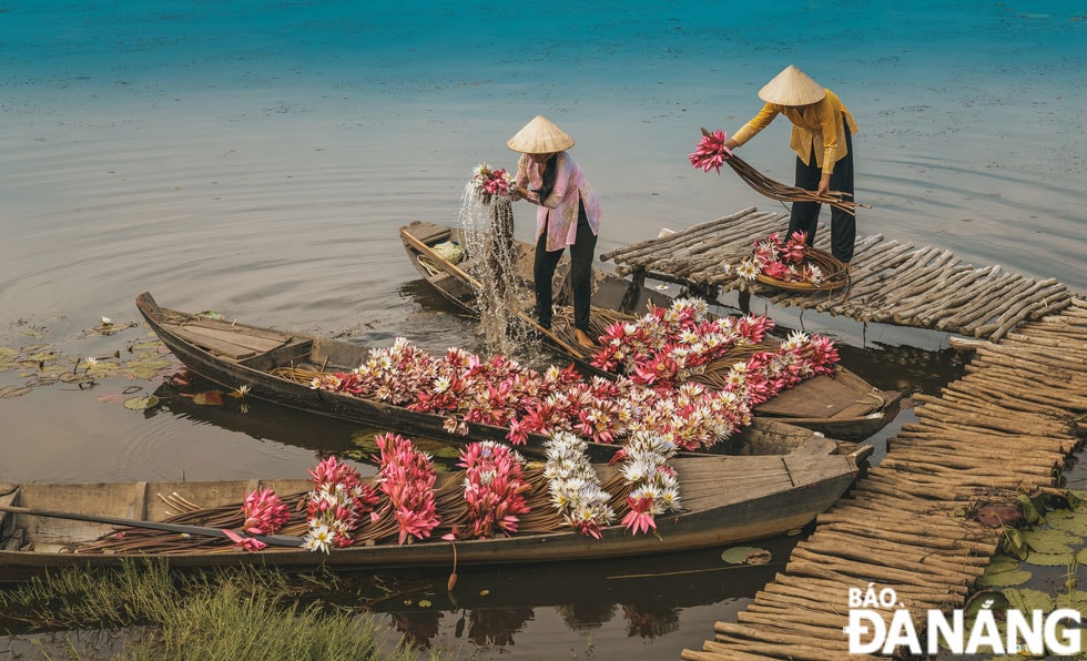 Những ngôi nhà nằm yên bình soi bóng bên dòng sông.
