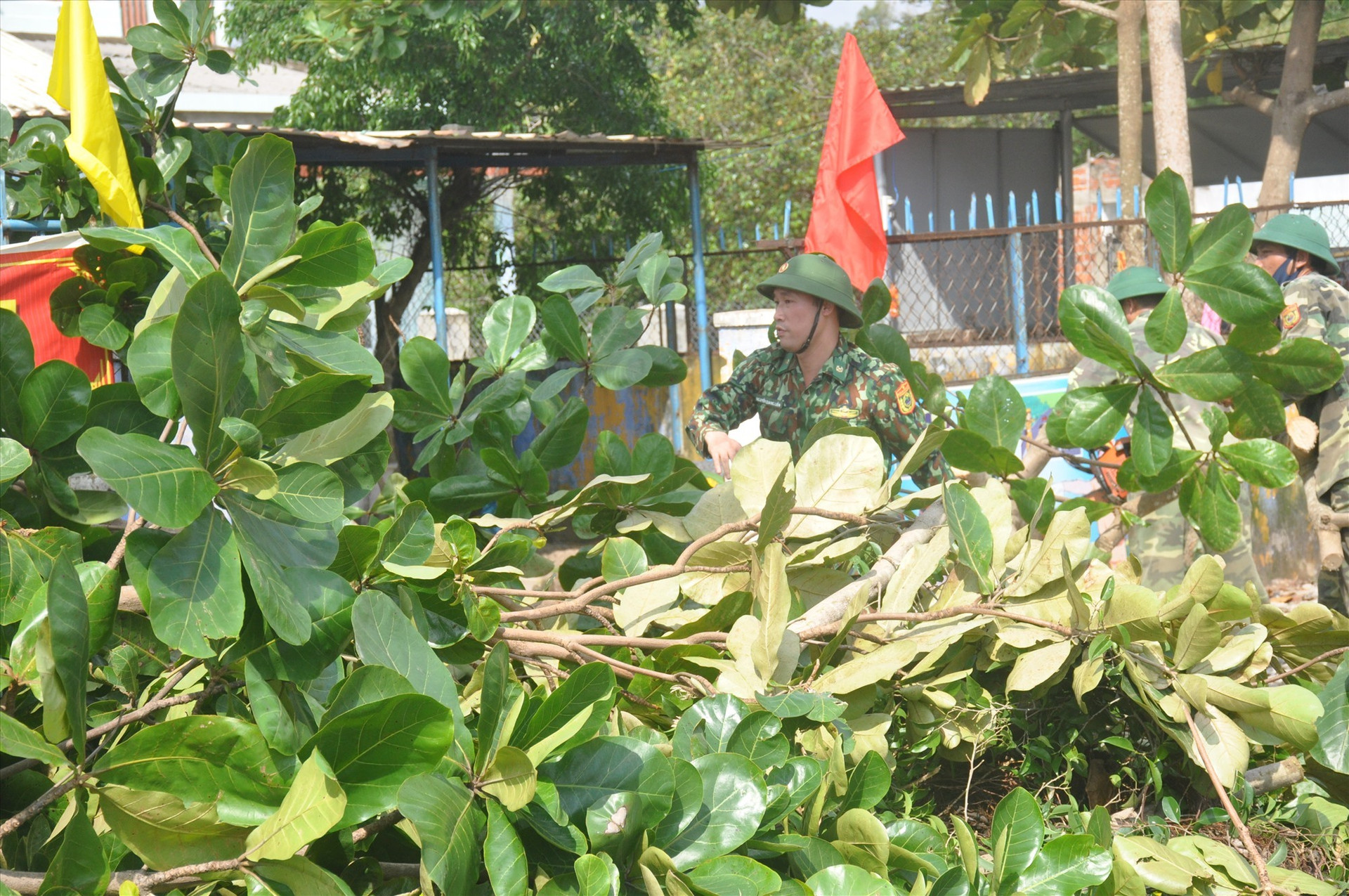 Lực lượng dân quân giúp người dân đón hạ cây cối có nguy cơ bị ngã đổ gây nguy hiểm do bão. Ảnh: N.Đ