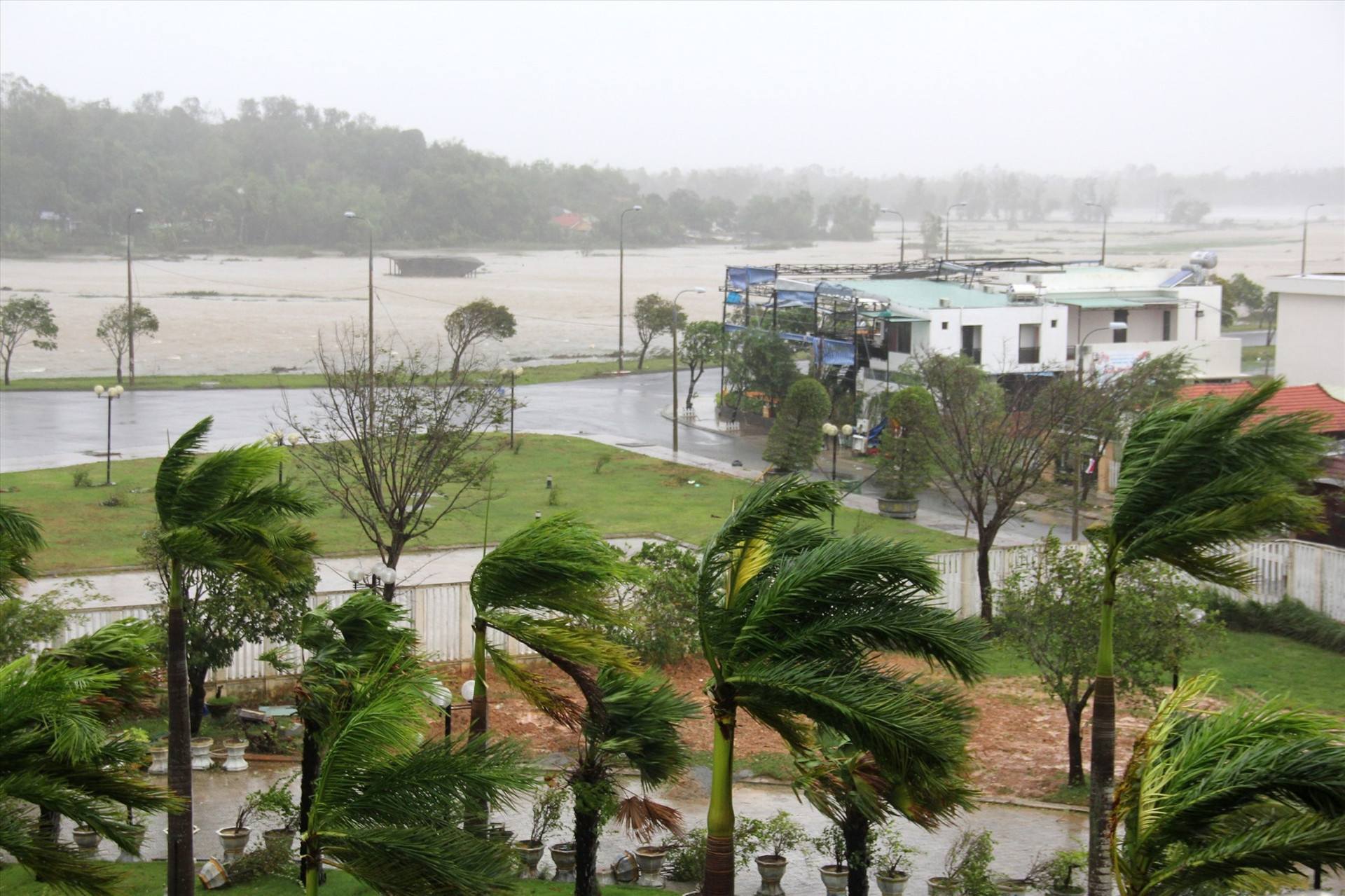 Gió mạnh khiến hàng dừa cảnh trước khách sạn Bàn Thạch bị xiêu vẹo