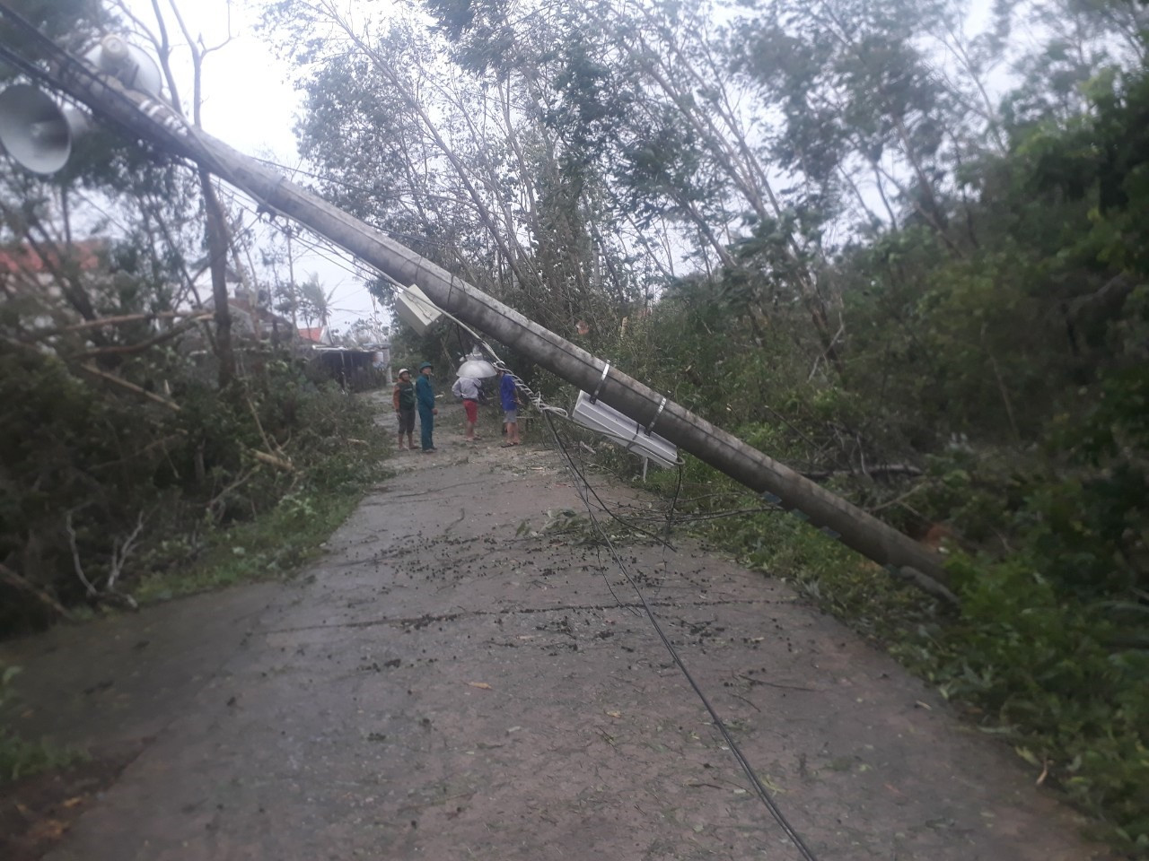 Một cây trụ điện tại xã Bình Sa bị ngã. Ảnh: M.TÂN