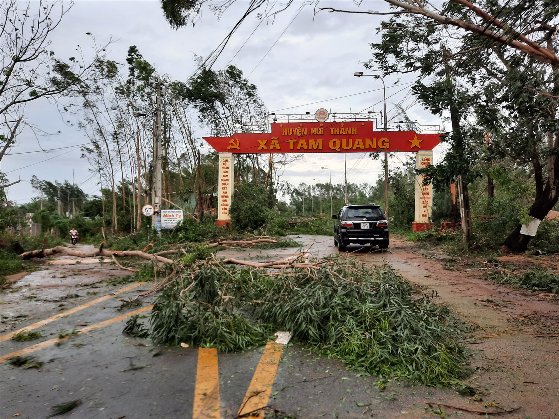 Cây cối ngã đổ tại xã Tam Quang, bão số 9 ít gây thiệt hại lớn về tài sản tại xã này .Ảnh: Đ.ĐẠO